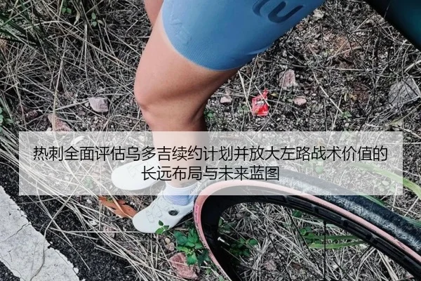 热刺全面评估乌多吉续约计划并放大左路战术价值的长远布局与未来蓝图